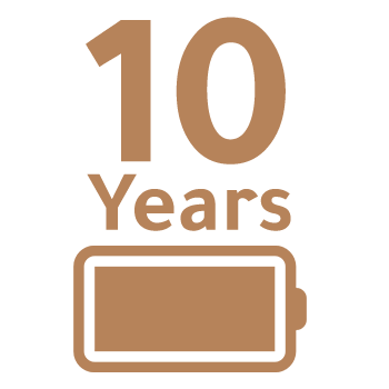 10 Years  Anlaierh company Ltd